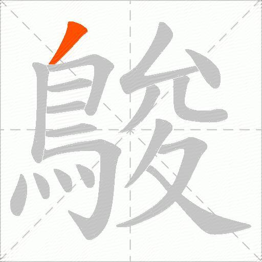鵔