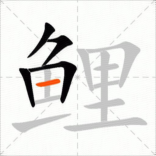 鲤