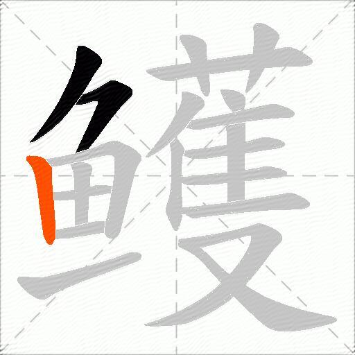 鳠