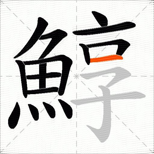 鯙