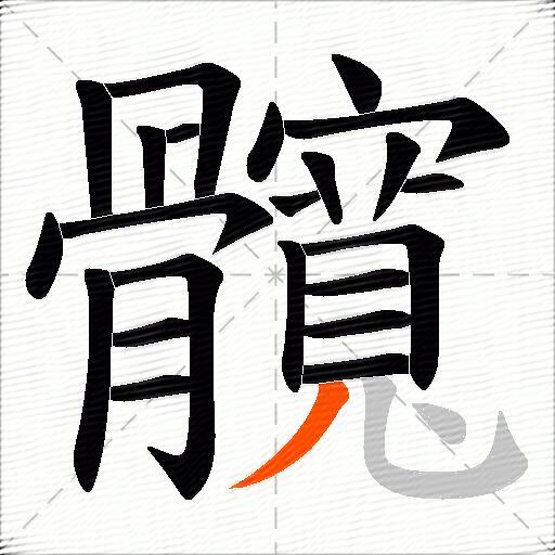 髖