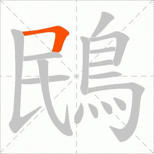 鴖