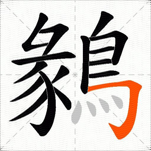 鶨