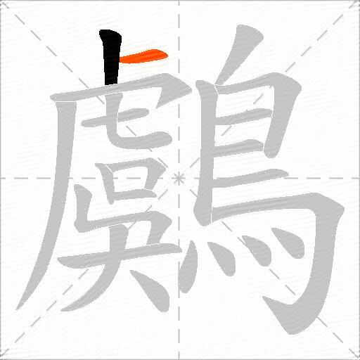 鸆