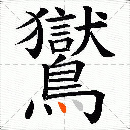 鸑