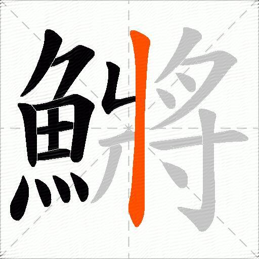 鱂