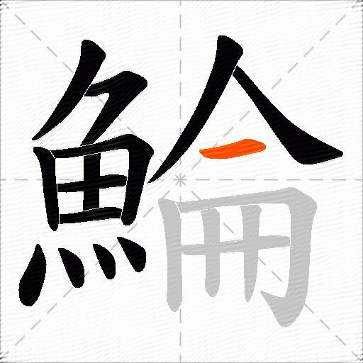 鯩