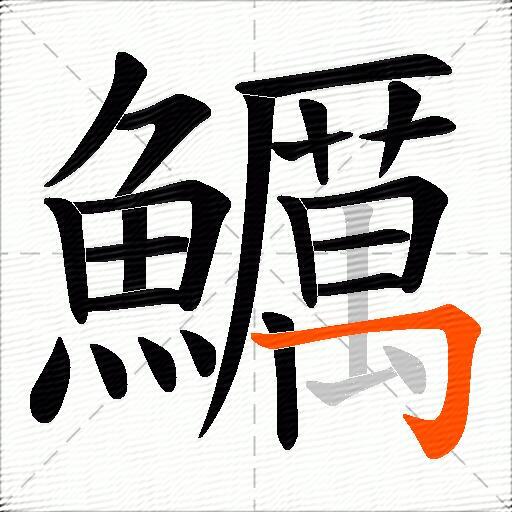 鱱