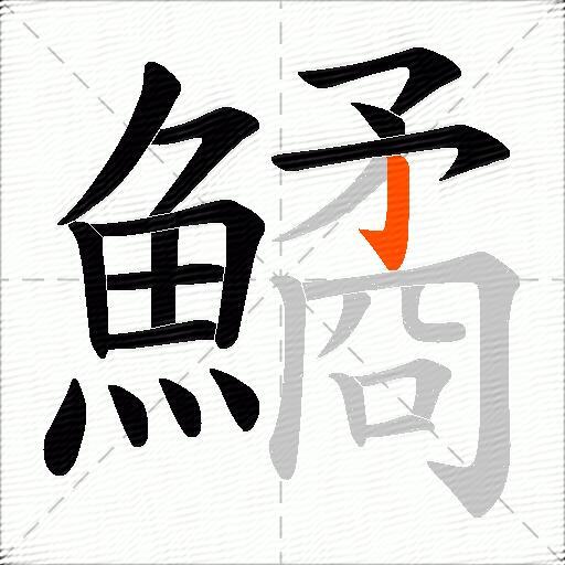 鱊