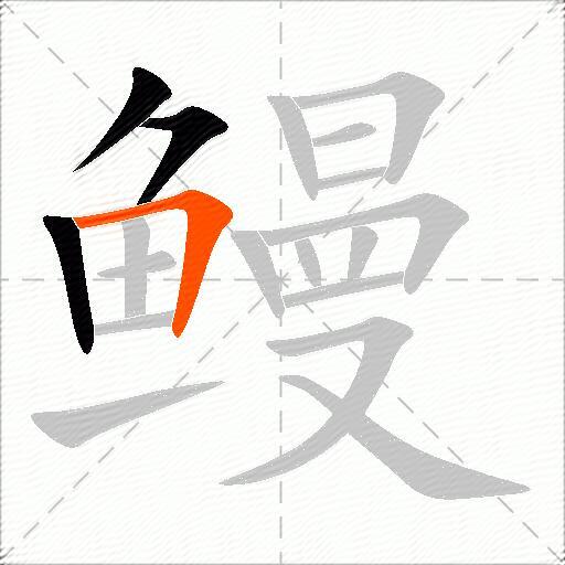 鳗