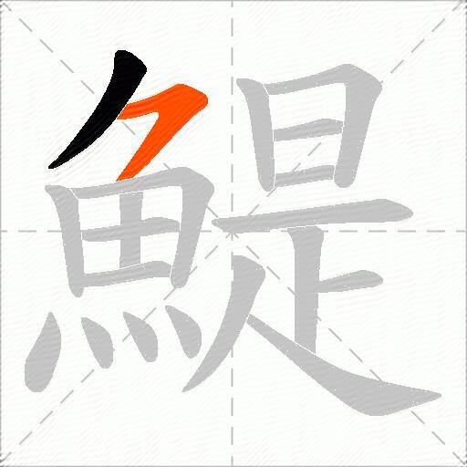鯷