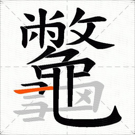 龞