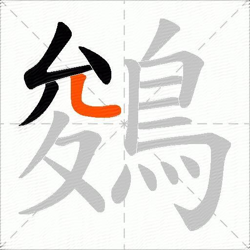 鵕