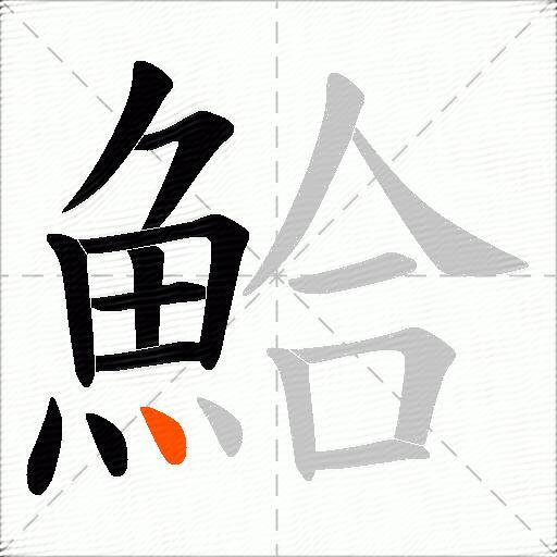 鮯