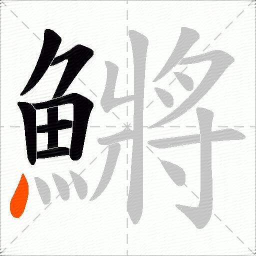 鱂