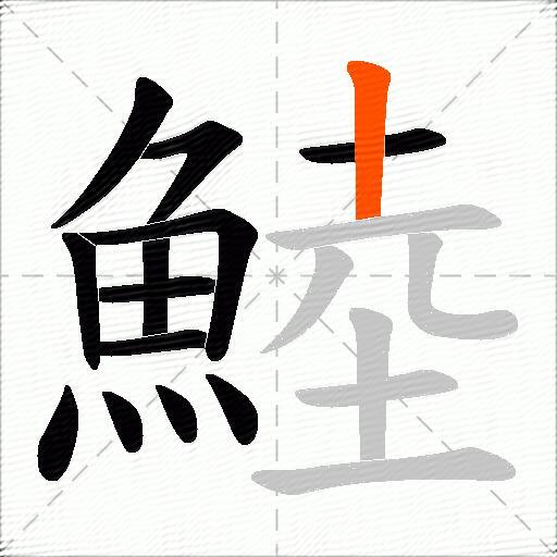鯥