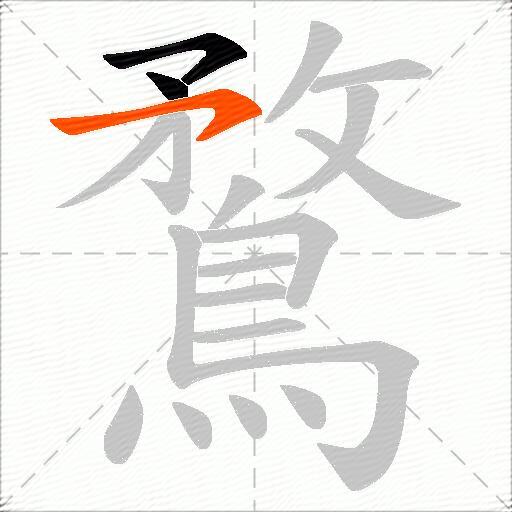 鶩