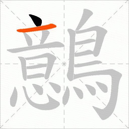 鷾