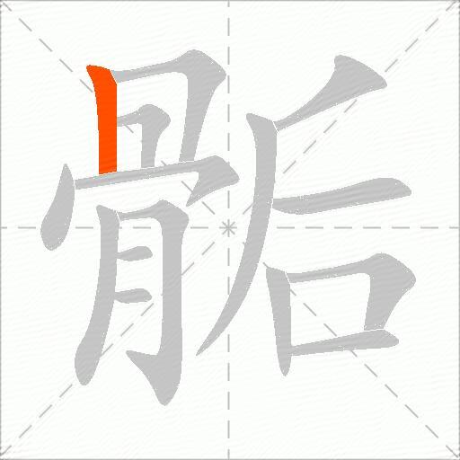 骺