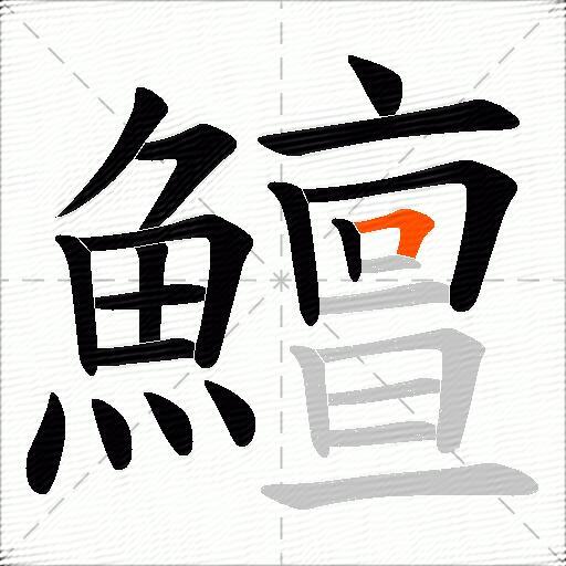 鱣
