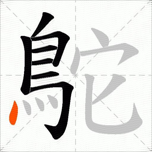 鴕