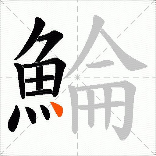 鯩