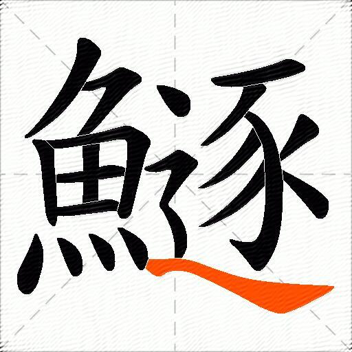 鱁