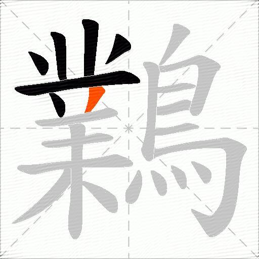 鸈