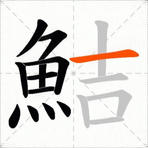 鮚