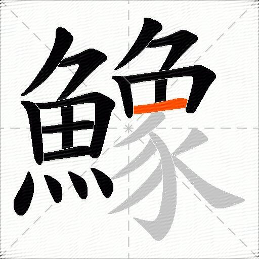 鱌