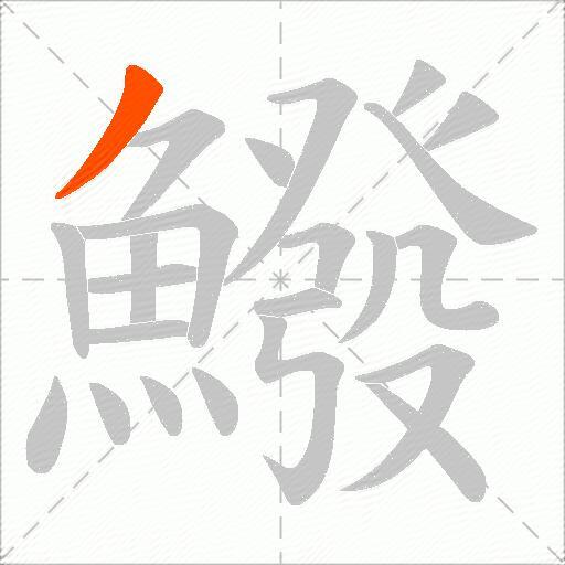 鱍