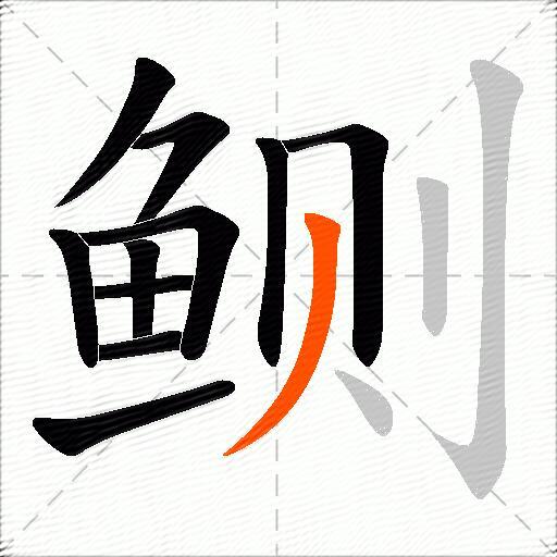 鲗