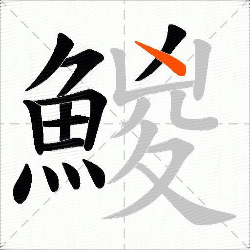 鯼