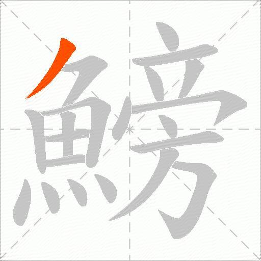 鰟