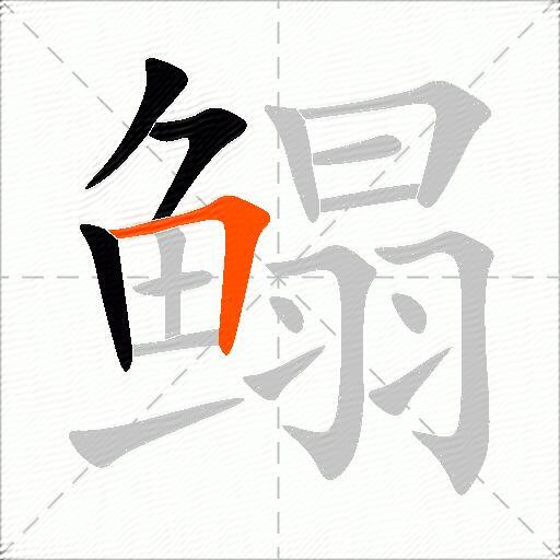 鳎