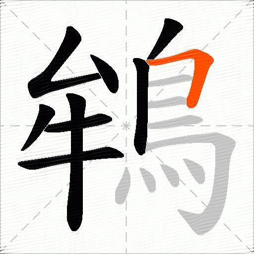 鴾