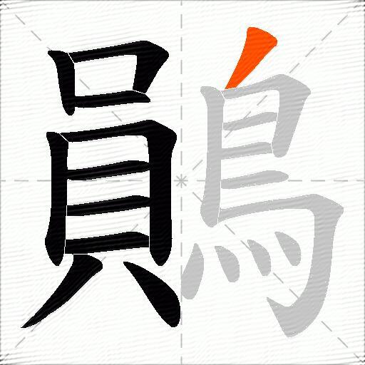鶰