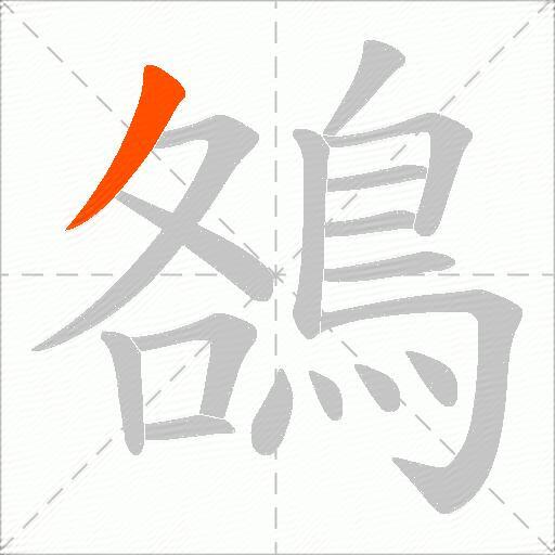鵅