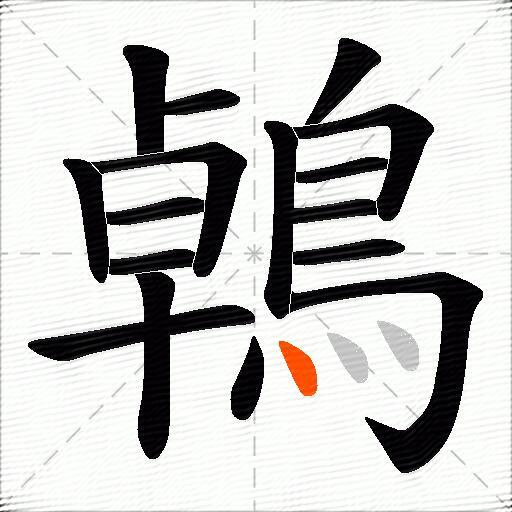 鵫
