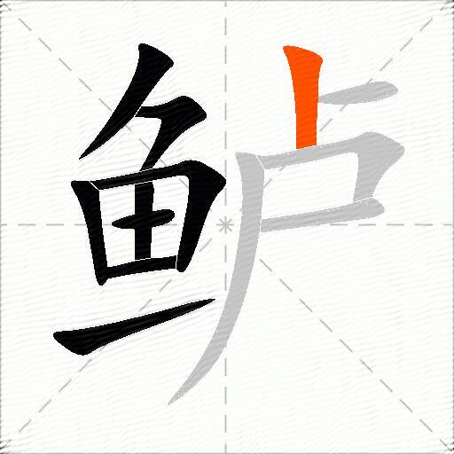 鲈