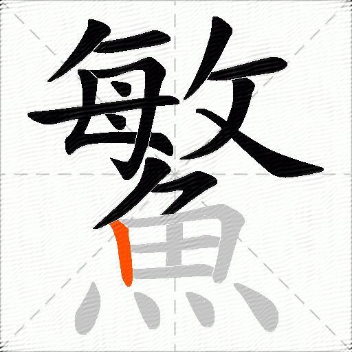 鰵