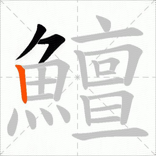 鱣