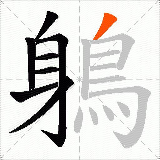 鵢