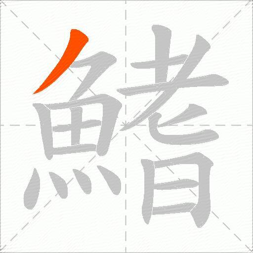 鰭