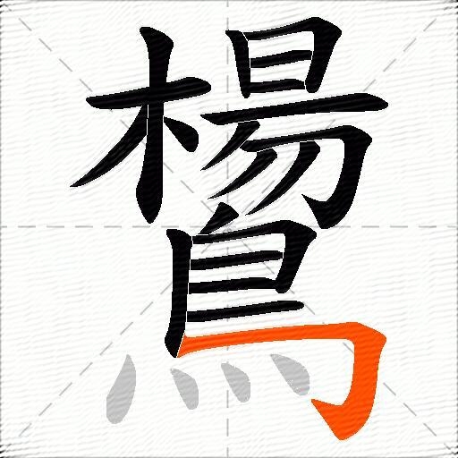 鸉