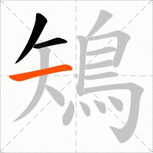 鴙