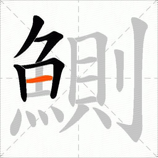 鰂