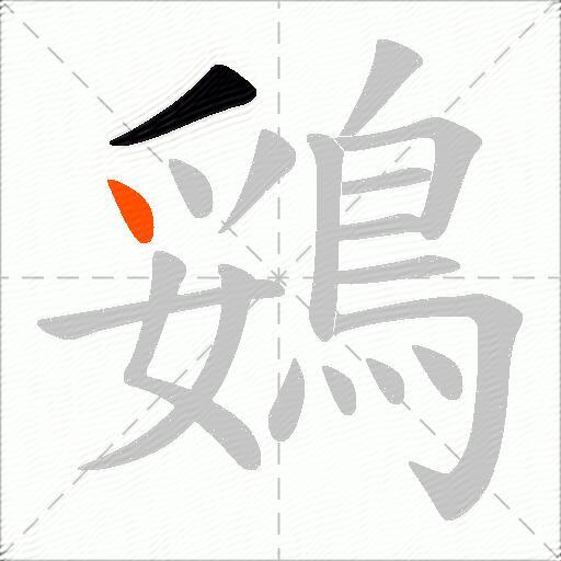 鵎