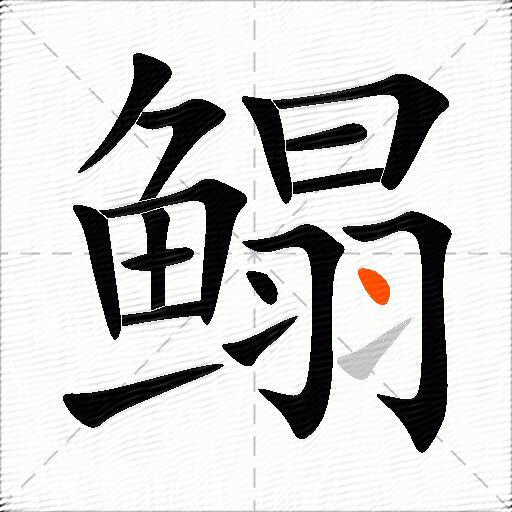 鳎