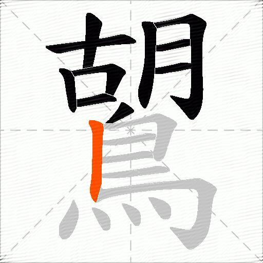 鶦